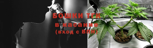 шишки Арсеньев