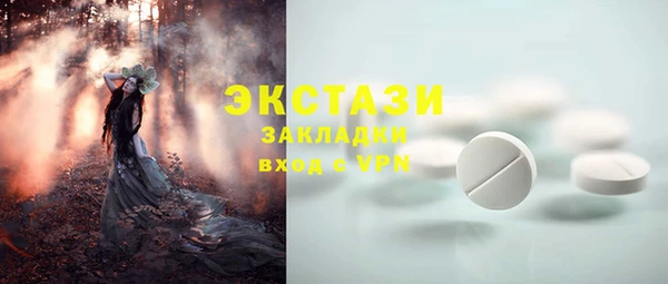 шишки Арсеньев
