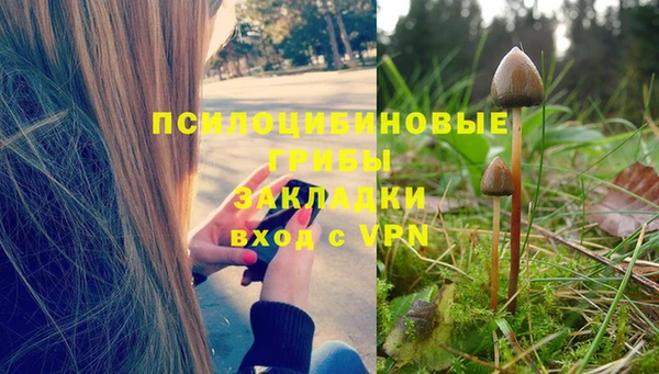 тгк Армянск
