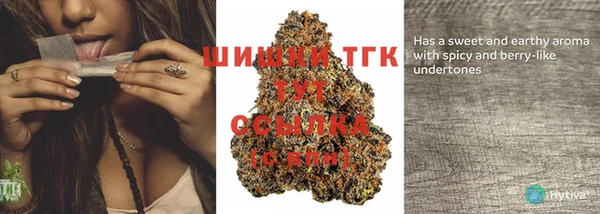 шишки Арсеньев